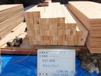 ＤＯＤＡＩ01 (800x600).jpg